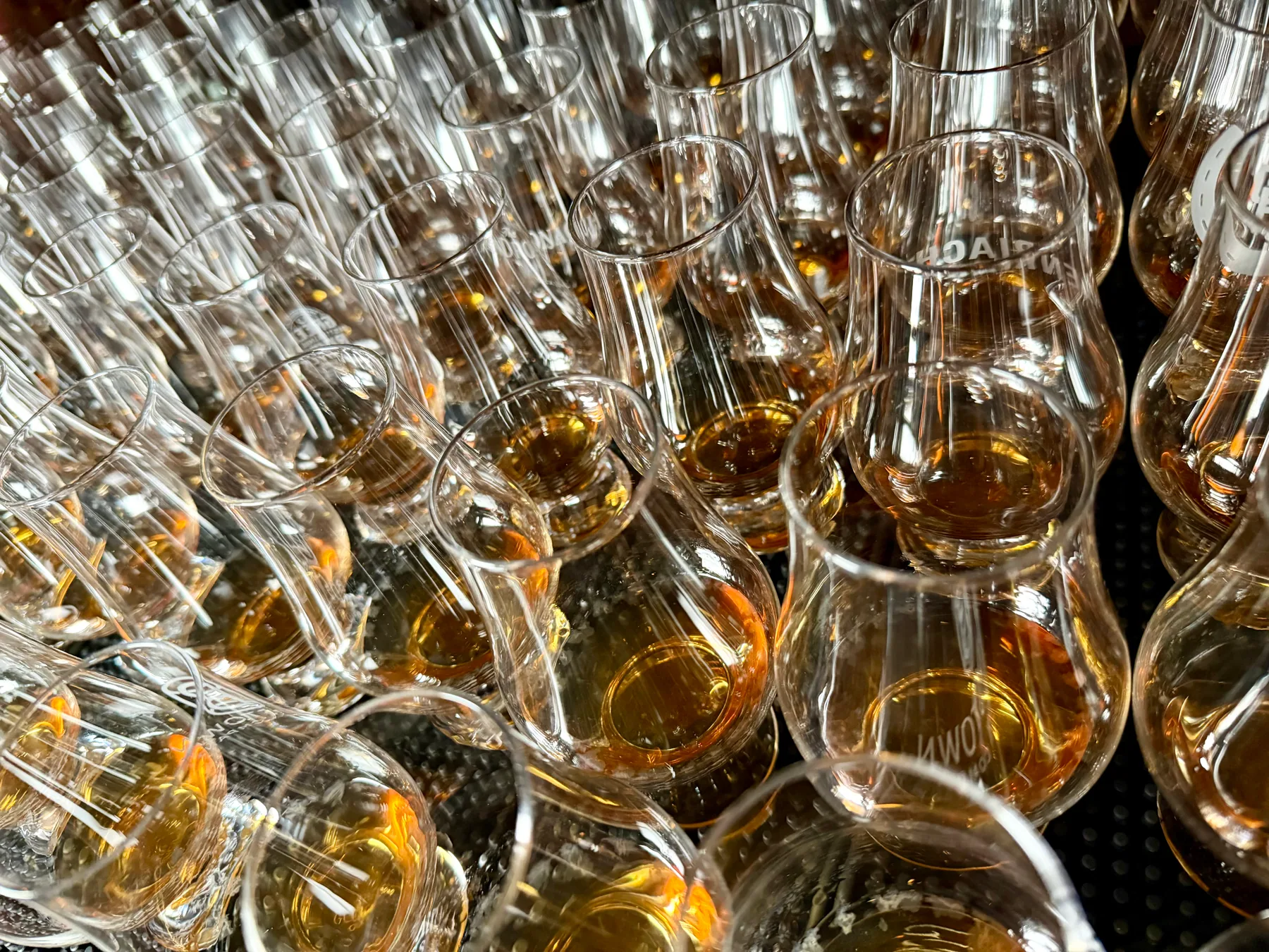 Rows of tasting glasses prepared for guests